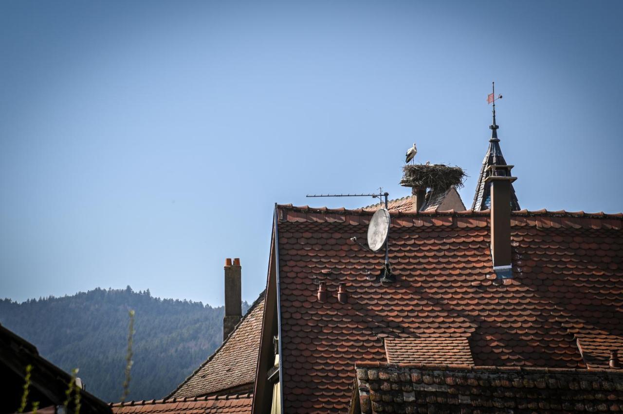Gasthuis Le Hameau D'eguisheim - D'hotes &